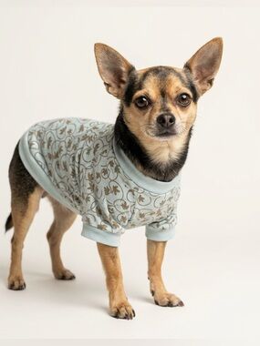 DC Light Mint Light Blue Green Tee Shirt for Small Dogs Soft Brown Leaves -Petco